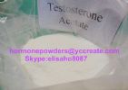 Testosterone Acetate